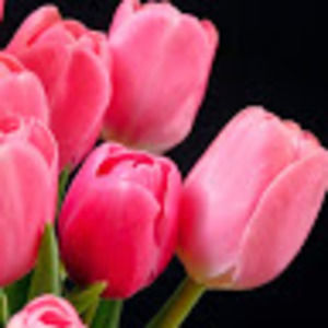 Meet your Posher, Teresa marie